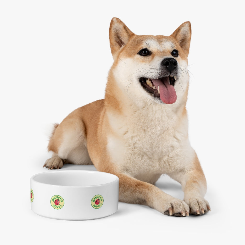 Pet Bowl