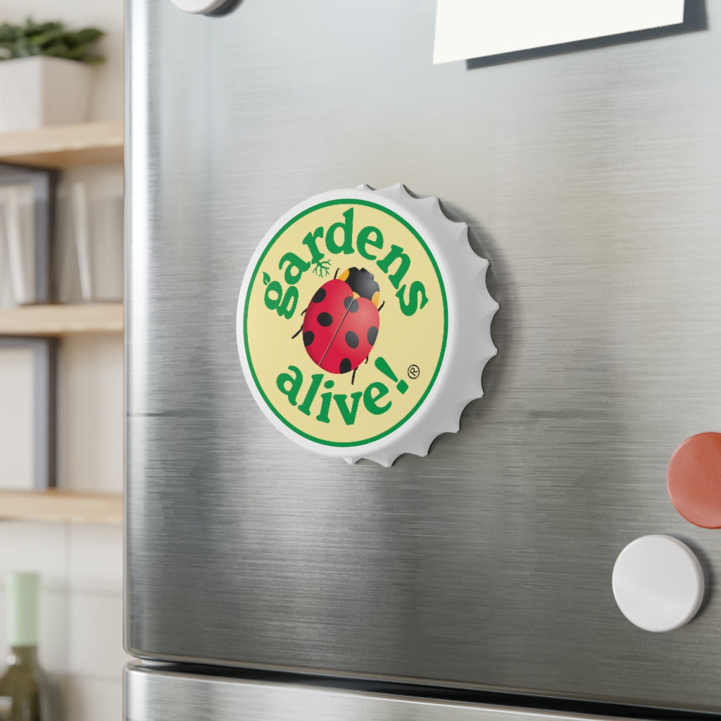 Bottle Opener